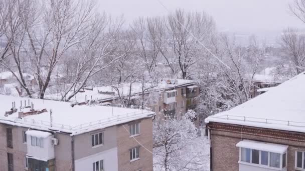 Chutes de neige des cimes des arbres dans la cour des vieux bâtiments résidentiels — Video