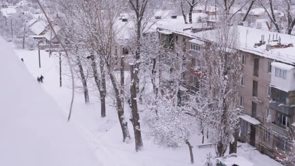 旧住宅の中庭の木々の上からの雪の滝 — ストック動画