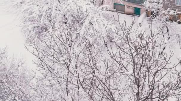 En gammal rostig garage står i en snötäckt gård av en Bostad tegelhus — Stockvideo