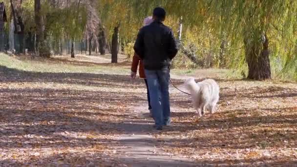 Casal jovem caminhando ao longo do caminho de Autumn Park Caminhando o cão em uma coleira — Vídeo de Stock