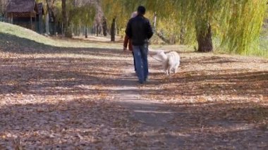 Sonbahar Parkı 'nda Yürüyen Genç Çift Tasmalı Köpeği Yürütüyor