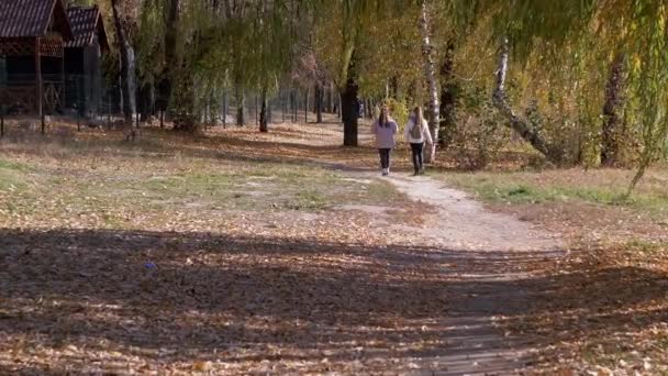 Две подруги-подростка гуляют в парке в Отумн-Вудсе. Зум. Медленное движение — стоковое видео