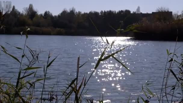 Bländande bländning av solstrålarna reflekteras på ytan av floden. 4K. Närbild — Stockvideo