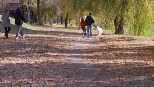 Fiatal pár sétál az Autumn Park ösvényén Pórázon sétálva a kutyát — Stock videók