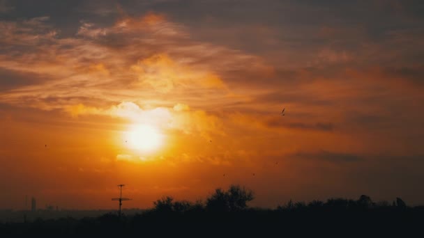 Sun Rising over Slow Moving Clouds in Orange Mist at Dawn (em inglês). 4K — Vídeo de Stock
