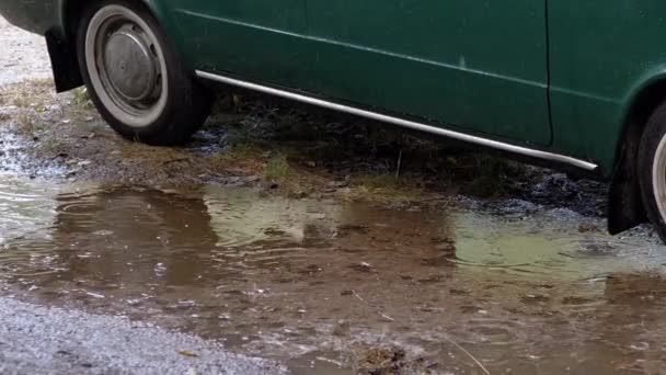 Lluvia cae goteando en un charco fangoso cerca de un coche viejo estacionado en la naturaleza en madera — Vídeos de Stock