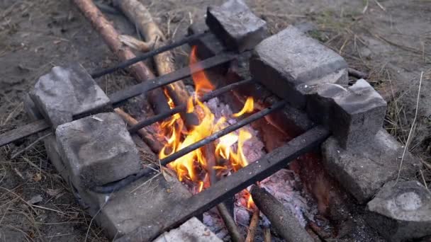 Bright Blazing Bonfire z wypalaniem drewna opałowego na zewnątrz. Zwolnij trochę. Zamknij się. — Wideo stockowe