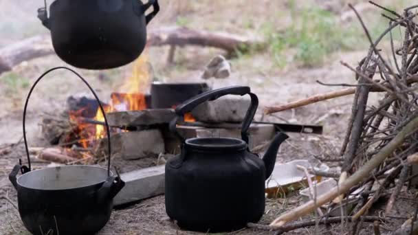 Czajnik i rondel na tle przygotowania żywności na ognisku — Wideo stockowe