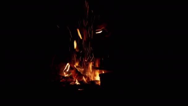 Mains masculines, Utilisation des allumettes, Allume un feu de camp de nuit en plein air. 4K — Video