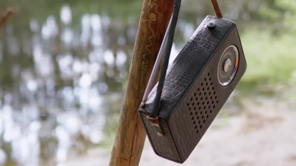 Gammal antikradio i ett läderfodral väger på en trädgren i skogen i naturen — Stockvideo