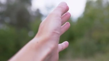 Mutlu bir kızın eli Ağaçların bulanık Arkaplanında Güneş ışığına uzanır