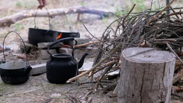 포츠에 있는 불위에서 요리하는 음식을 배경으로 준비 된 장작 거짓말 — 비디오