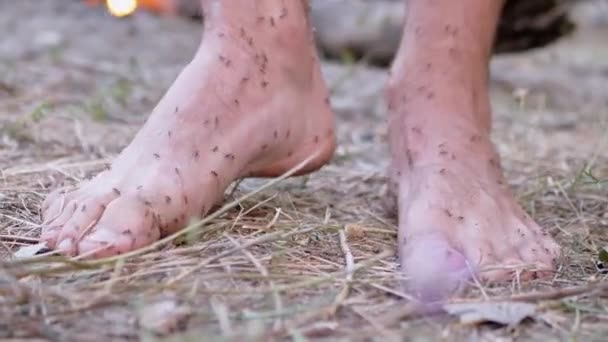 Het leger van bruine mieren kruipt op menselijke benen staande op gras.. — Stockvideo