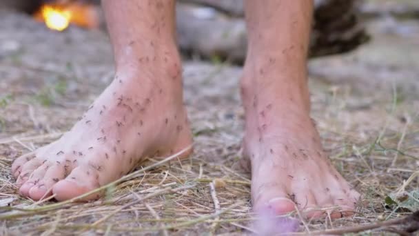 Armée de fourmis brunes est rampant sur les jambes nues humaines debout sur l'herbe. — Video