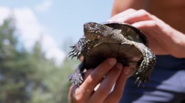 Nehrin yanında duran adam, elinde bir gölet kaplumbağası tutuyor. 4 bin. Ağır çekim. Kapat.