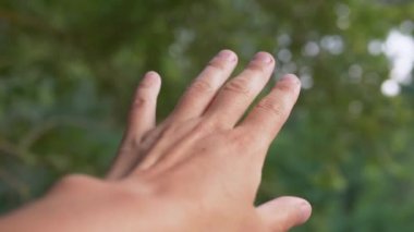 Bulanık Ağaçların Arkaplanında Mutlu Bir Kızın Elleri Güneş Işığına Uzanıyor. 4K