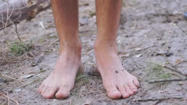 Ejército de hormigas marrones se arrastra en las piernas desnudas humanas de pie en la hierba. — Vídeos de Stock