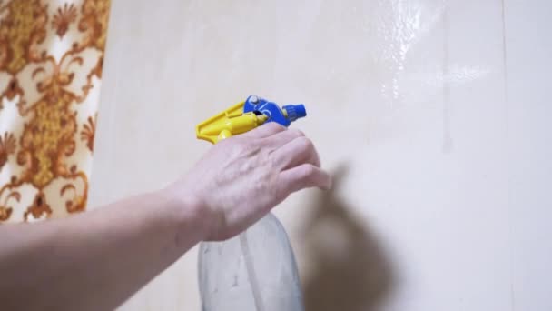 Male Hand Sprays Water from a Spray Bottle to Remove Old Wallpaper from Wall. 4K — Stock Video