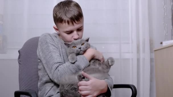 Abraços de menino sorridente, beija um gato fofo em seus braços no quarto. 4K. Fechar — Vídeo de Stock