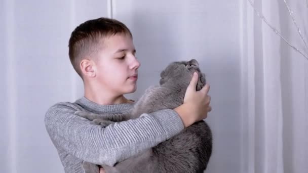 Sonriente niño abraza a un gato esponjoso en sus brazos, sentado en un sillón en la habitación — Vídeos de Stock