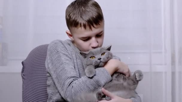 Smilende dreng knus, kysser en fluffy kat i hans arme i rummet. 4K. Tæt på – Stock-video