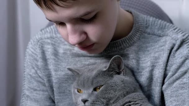 Triste dreng holder og krammer en fluffy kat i sine arme, sidder i en lænestol i rummet – Stock-video