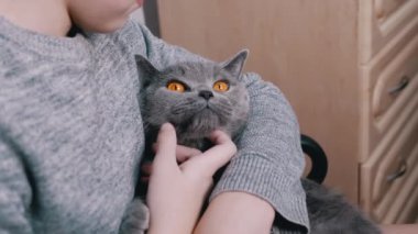 Gülümseyen Çocuk, Kucağında Yumuşak Bir Kedi Kucaklıyor, Odada Kol Sandalyesinde Oturuyor