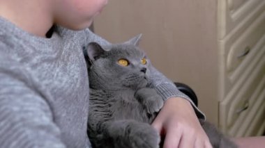 Üzgün Çocuk, Kucağında Yumuşak Bir Kedi Tutar ve Kucaklar, Odada Kol Sandalyesinde Oturur