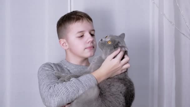 Smiling Boy Hugs, Kiss a Puffy Cat in his Arms in Room. 4К. Закрыть — стоковое видео