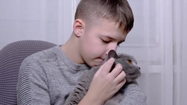 Το θλιμμένο αγόρι αγκαλιάζει μια χνουδωτή γάτα στην αγκαλιά του, κάθεται σε μια πολυθρόνα στο δωμάτιο — Αρχείο Βίντεο