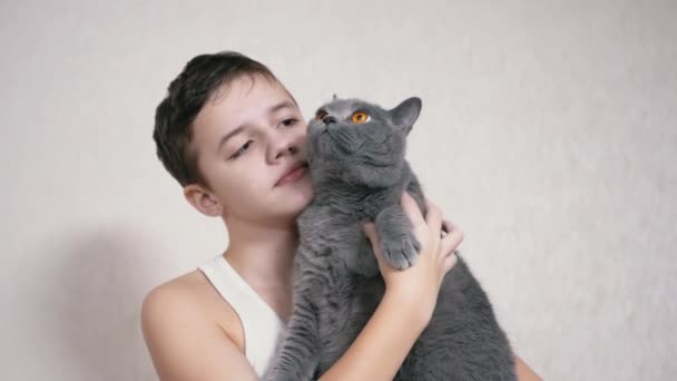 Улыбающийся ребёнок держит, обнимает, целует Пушистого кота в её руках в комнате. 4K — стоковое видео