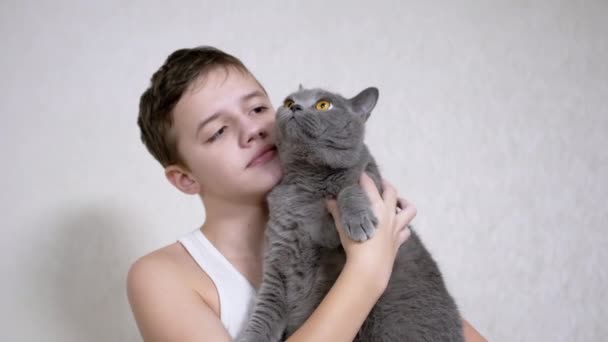 Gülümseyen Çocuk Kucaklıyor, Kucaklıyor, Yumuşak Kediyi Odasında Öpüyor. 4K — Stok video