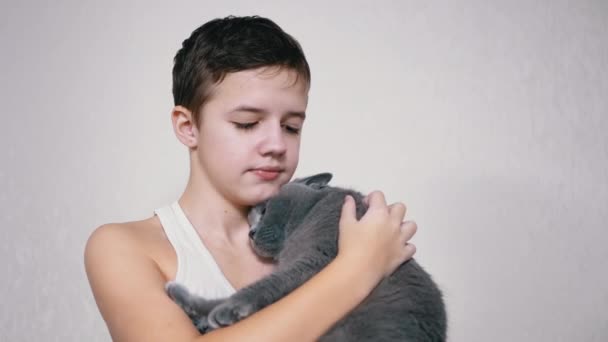 La niña sonriente sostiene y abraza a una gata esponjosa en sus brazos en la habitación. 4K — Vídeos de Stock