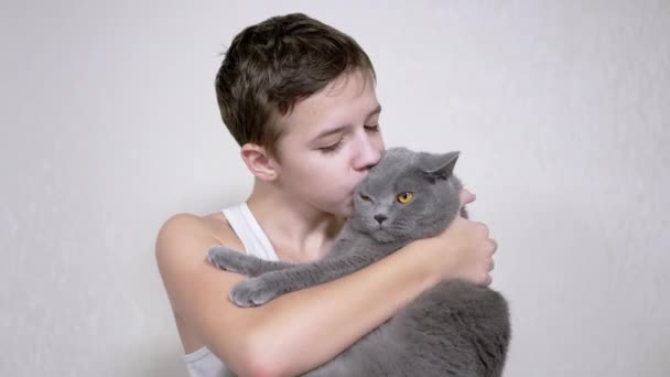 Το χαμογελαστό παιδί κρατάει, αγκαλιάζει, φιλάει μια χνουδωτή γάτα στα χέρια της στο δωμάτιο. 4K — Αρχείο Βίντεο