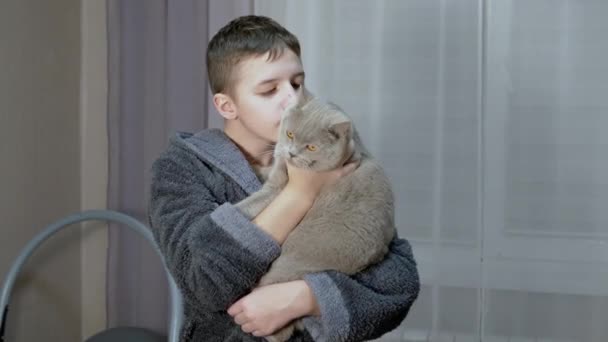 Bambino sorridente è in mano, abbracciando, bacia un gatto soffice tra le braccia in camera. Zoom — Video Stock