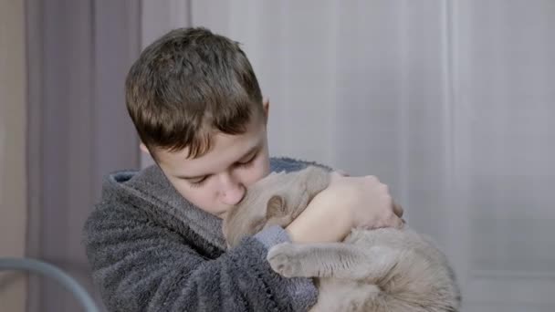 Enfant souriant tient, étreint, embrasse un chat moelleux dans ses bras dans la chambre. 4K — Video