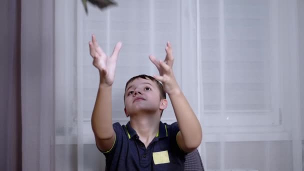 Ευτυχισμένος έφηβος πιάνει με τα χέρια που πέφτουν 100 δολάρια νομοσχέδια Πετώντας στο κεφάλι του — Αρχείο Βίντεο
