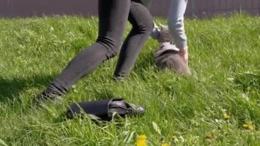 Eve yakın açık havada Şişman Gri Bir İngiliz Kedisinin Üzerinde Yürüyen Kadın