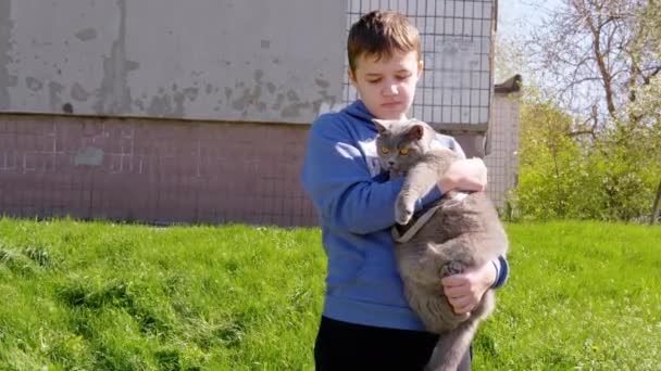 Sad Child Holding a Large Domestic Gray British Cat in his Arms Outdoors. 4K — Video