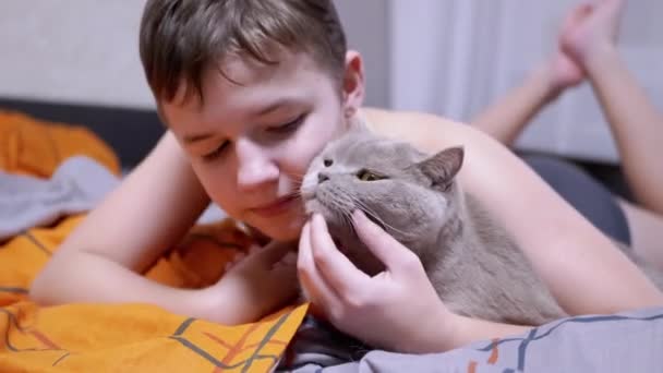 Gülümseyen çocuk yatakta uzanırken pofuduk bir kediyi öpüyor ve sarılıyor. — Stok video