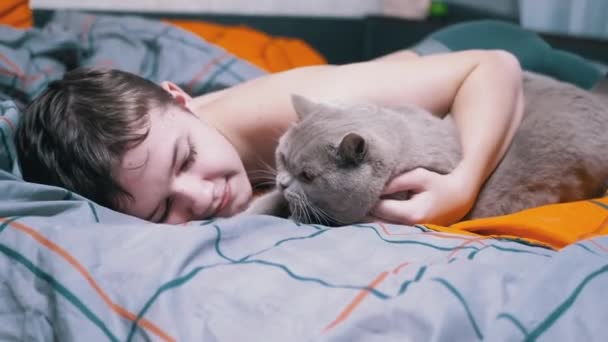 Sorridente Ragazzo Accarezzando Abbracciando Gatto Soffice Mentre Sdraiato Sul Letto — Video Stock