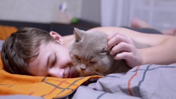 Yatak Odasında Yatakta Uzanırken Gülümseyen Çocuk Pofuduk Bir Kediyi Okşuyor — Stok video