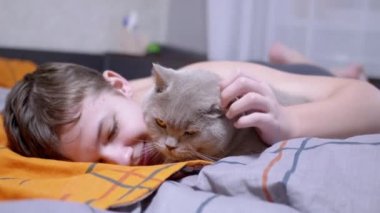Yatak odasında yatakta uzanırken gülümseyen çocuk pofuduk bir kediyi okşuyor ve sarılıyor. Gri bir İskoç kedisini elleriyle okşayan mutlu bir çocuk. Evdeki sevgi, ilgi, sevgi ve dostluk..