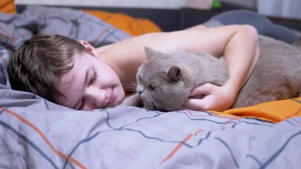 Garoto Sorrindo Acariciando Abraçando Gato Fofo Enquanto Deitado Cama Quarto — Vídeo de Stock