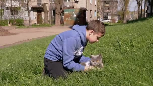 Kind Das Eine Dicke Graue Britische Katze Der Leine Freien — Stockvideo