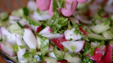 Şef Maydanoz Maydanoz Taze sebze salatası, turp, salatalık, yeşillik. Yakın plan. Renkli yeşil soğan, maydanoz, turp ve salatalık sebzesi karışımı, yağ. Vejetaryen diyeti. Sağlıklı yemek..