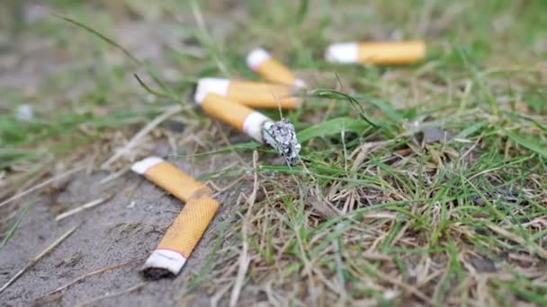 Sacco Mozziconi Sigaretta Fumante Sdraiati Sulla Sabbia Nell Erba Verde — Video Stock