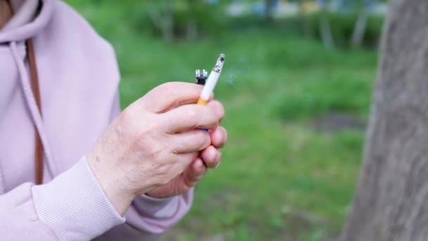 Woman Holding Cigarette Lighter Hands Sitting Nature Sun Female Smokes — Stock Video