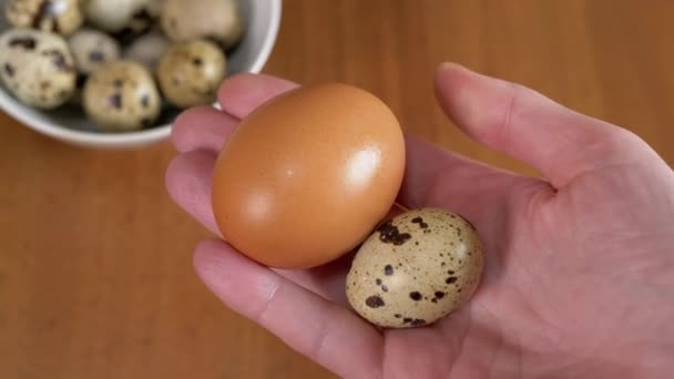Woman Holding His Hands One Large Chicken Egg One Small — Stok Video