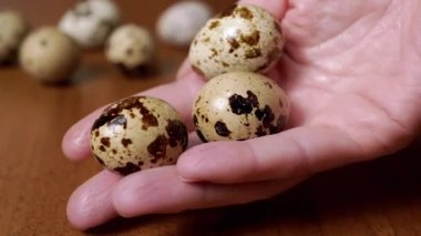 Kadın, Palm 'da bıldırcın yumurtalı bir masanın üstünde üç bıldırcın yumurtası tutuyor. Doğal, besleyici, besleyici organik yumurtalar. Küçük parlak, renkli, parlak, benekli yumurtalar. Protein. Sağlıklı yemek..
